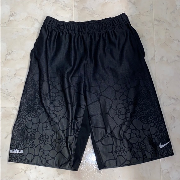Nike Other - LeBron x Nike Dri-Fit shorts